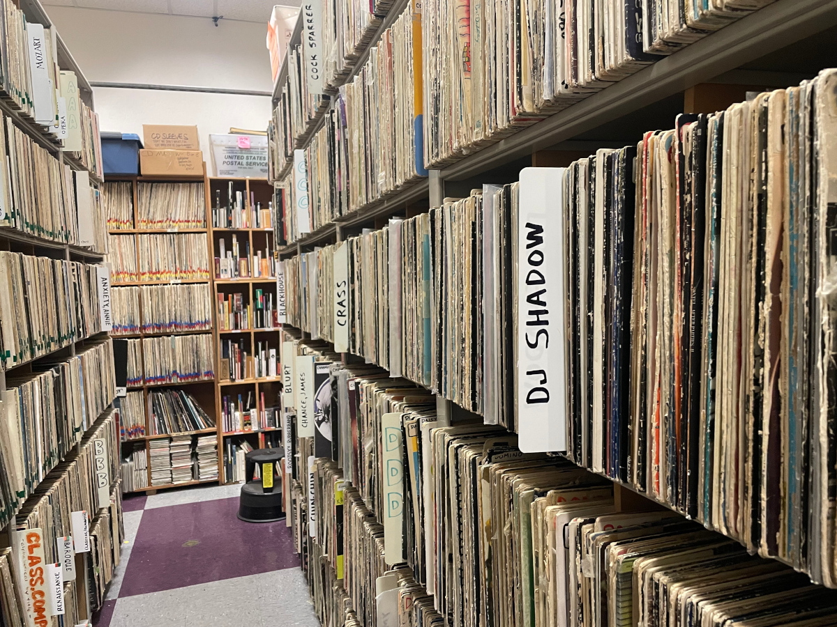 Library of vinyl records labelled by artist